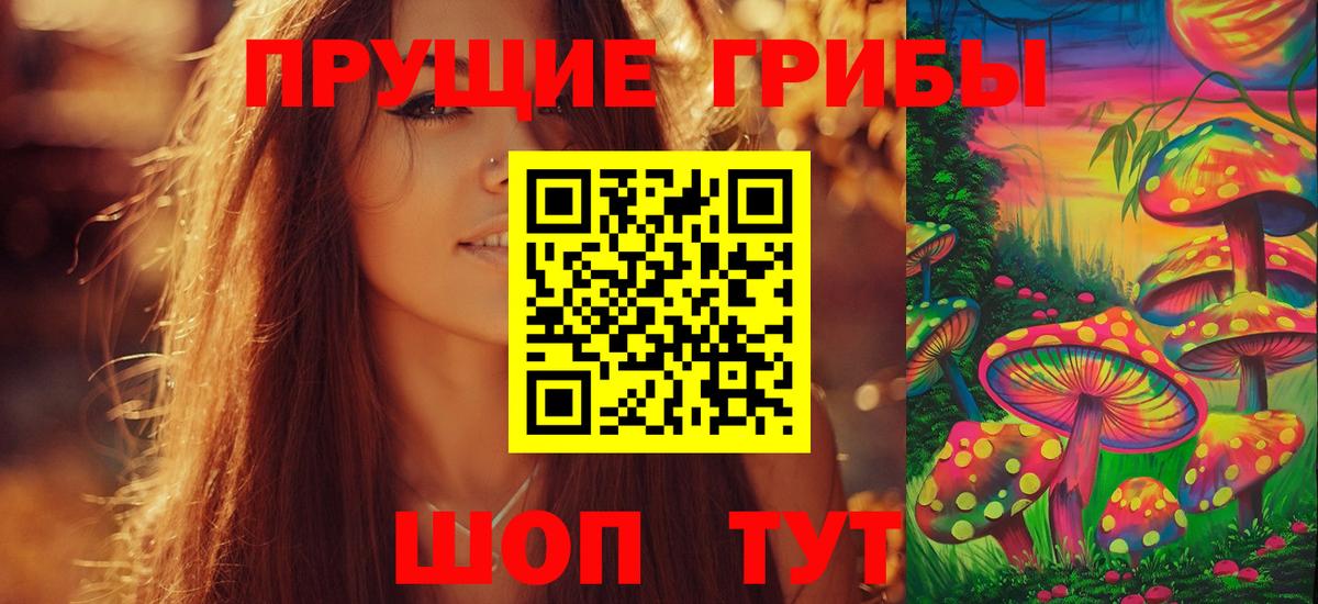 Чебоксары  Псилоцибиновые грибы мухоморы  Вход с VPN  Галлюциногенные грибы мицелий 